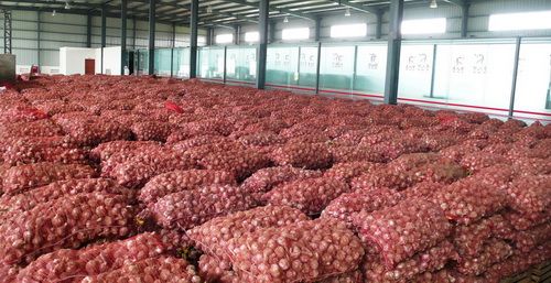  智能倉儲起重機——農(nóng)業(yè)領(lǐng)域“首秀”